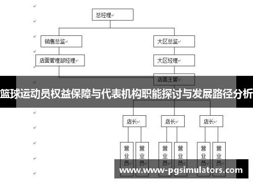 篮球运动员权益保障与代表机构职能探讨与发展路径分析