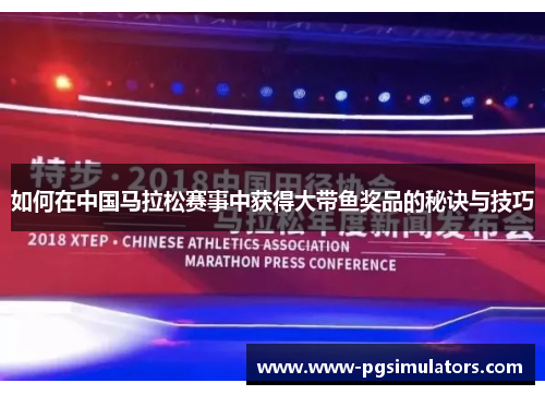 如何在中国马拉松赛事中获得大带鱼奖品的秘诀与技巧