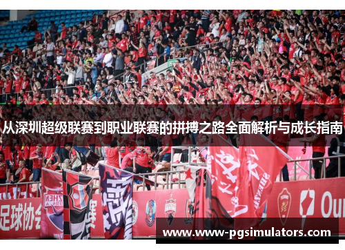 从深圳超级联赛到职业联赛的拼搏之路全面解析与成长指南