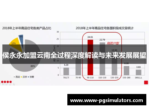 侯永永加盟云南全过程深度解读与未来发展展望