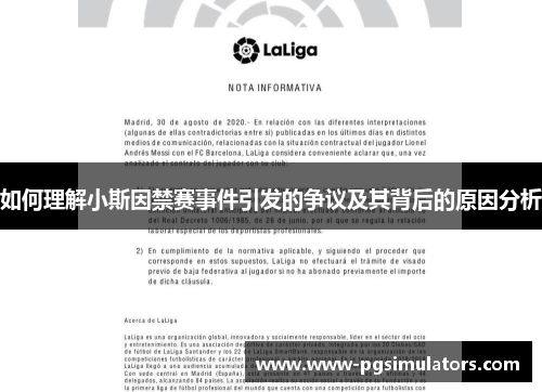 如何理解小斯因禁赛事件引发的争议及其背后的原因分析