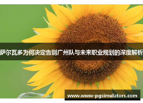 萨尔瓦多为何决定告别广州队与未来职业规划的深度解析