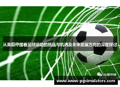 从英超停摆看足球运动的挑战与机遇及未来发展方向的深度探讨