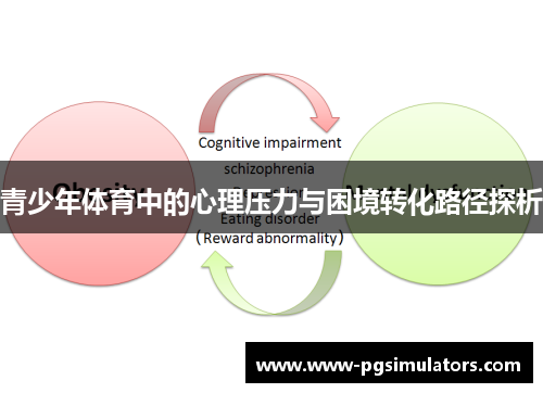 青少年体育中的心理压力与困境转化路径探析 青少年体育中的心理压力与困境转化路径探析