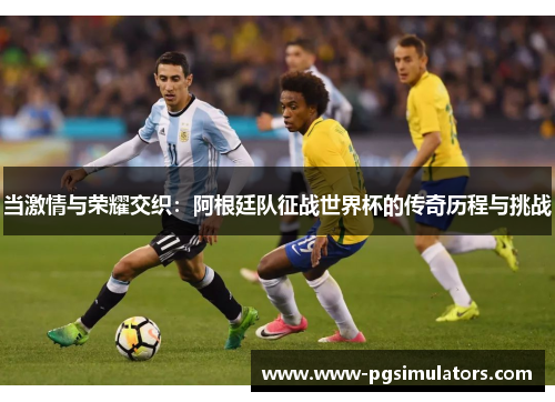 当激情与荣耀交织：阿根廷队征战世界杯的传奇历程与挑战