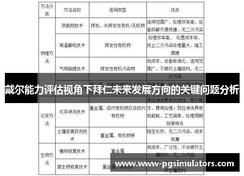 戴尔能力评估视角下拜仁未来发展方向的关键问题分析