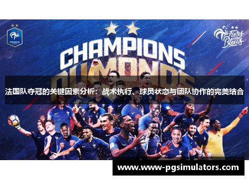 法国队夺冠的关键因素分析：战术执行、球员状态与团队协作的完美结合